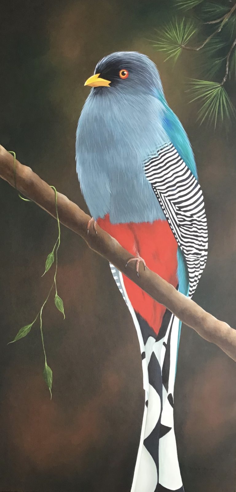 Trogon - 24x48